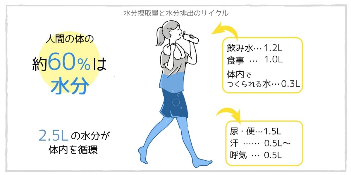 体内水分率の計算方法